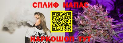 ECSTASY Тара