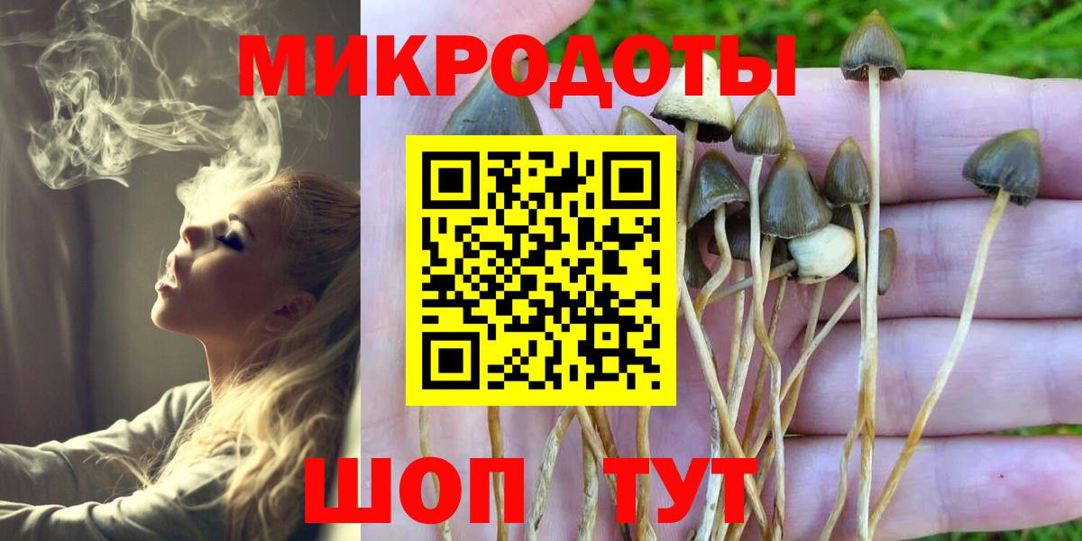 Галлюциногенные грибы Cubensis Кунгур