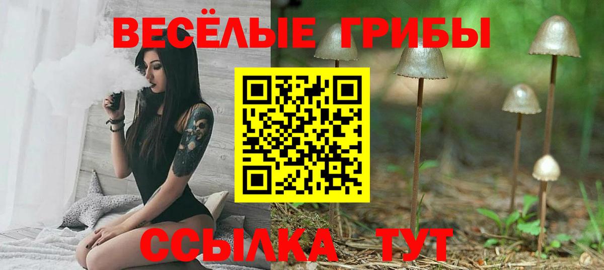 Псилоцибиновые грибы Cubensis  Псилоцибиновые грибы Magic Shrooms  Кунгур  Вход с VPN 